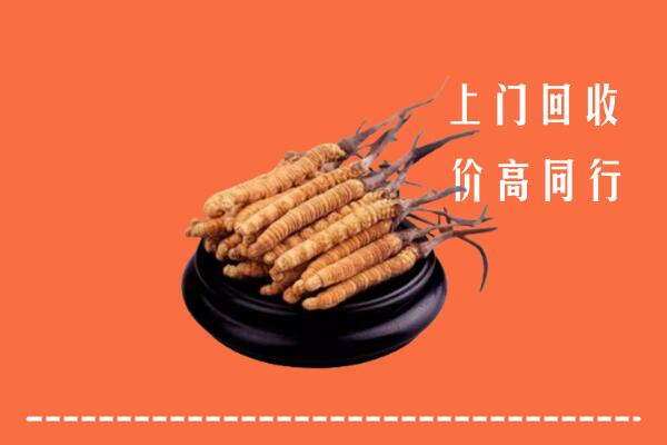 高价求购：迎江区回收散虫草